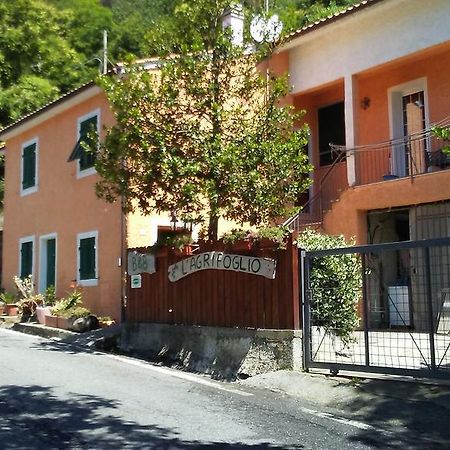 Casa Vacanze L'Agrifoglio Bed & Breakfast Magliolo Luaran gambar