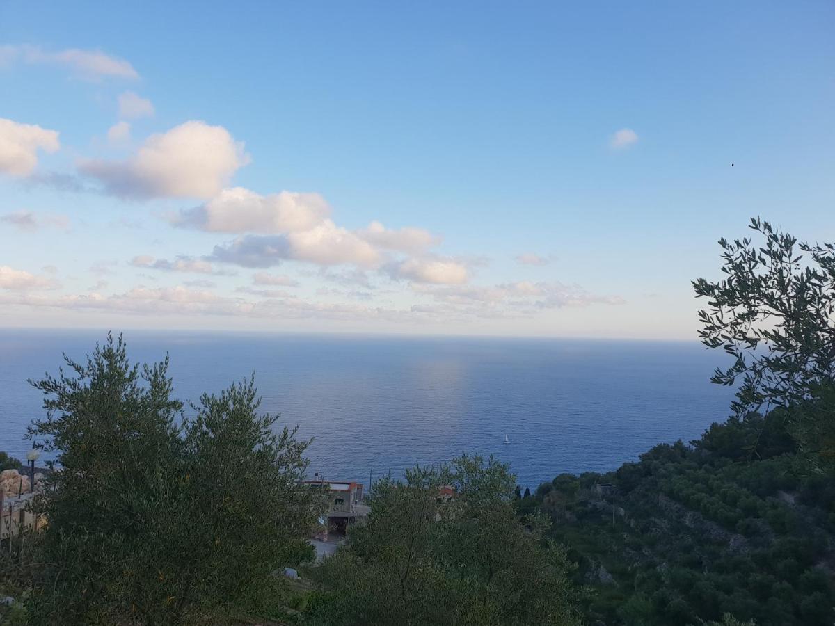 Casa Vacanze L'Agrifoglio Bed & Breakfast Magliolo Luaran gambar
